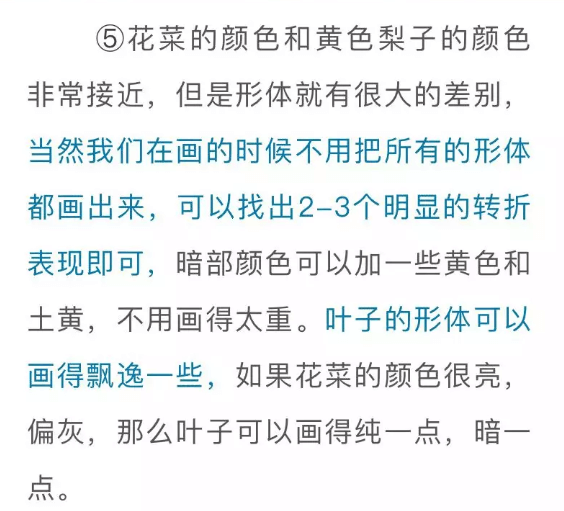 色彩靜物中的蔬菜類怎么畫(huà),看重慶美術(shù)培訓(xùn)學(xué)校老師來(lái)教你！圖二十四