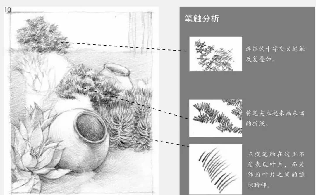 素描場景實操教程！花園一角怎么畫？重慶畫室學子看過來！圖十一