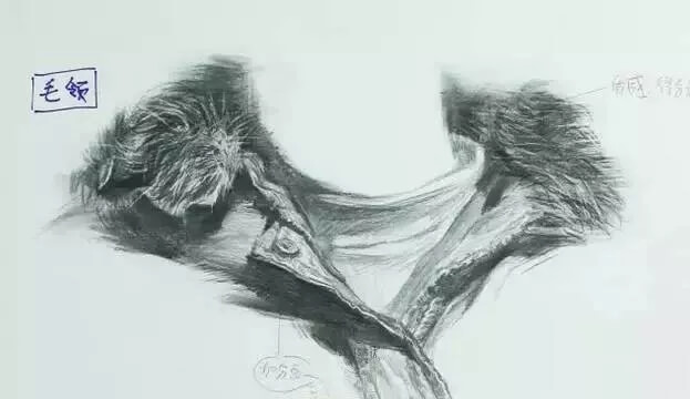 重慶美術(shù)培訓(xùn)畫室教你衣領(lǐng)怎么畫？不同材質(zhì)衣領(lǐng)刻畫方法都有！