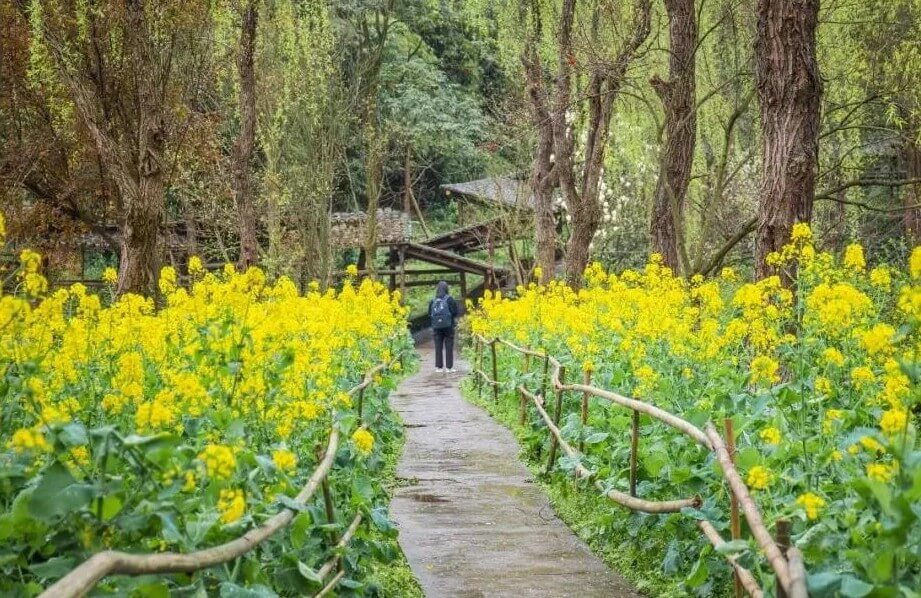 在川美上學(xué)是一種什么體驗(yàn)？重慶美術(shù)集訓(xùn)畫(huà)室?guī)銇?lái)漲姿勢(shì)了！