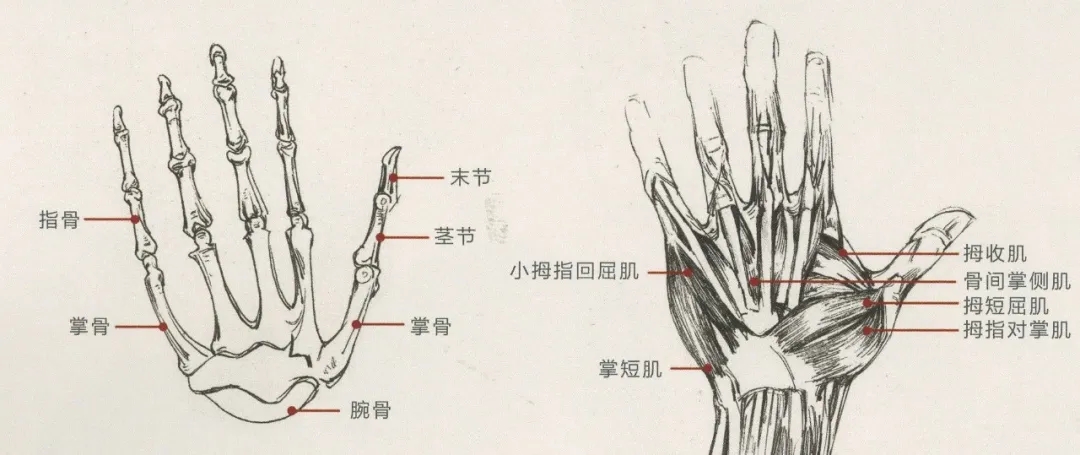 重慶美術(shù)培訓(xùn)畫(huà)室：畫(huà)人難畫(huà)手，畫(huà)好手速寫(xiě)事半功倍！