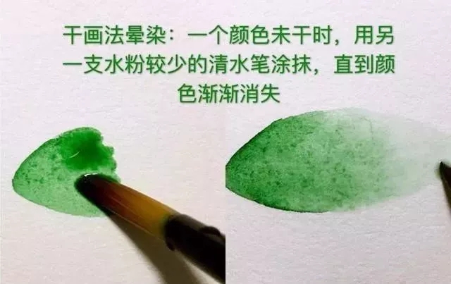 重慶美術(shù)培訓(xùn)畫室為你送上八種水彩畫的入門技巧！