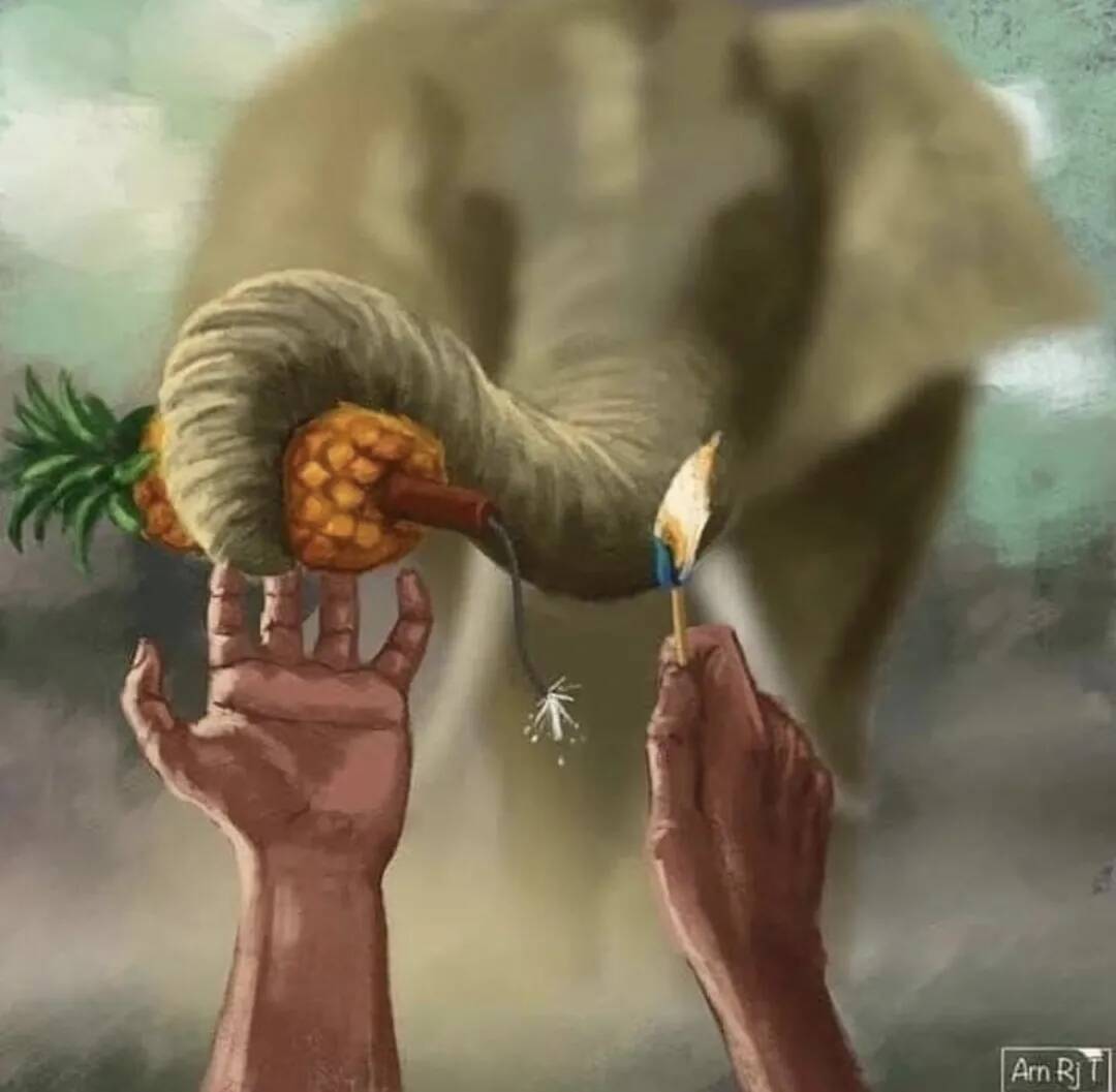 重慶藝考畫室資訊 | 懷孕母象被人類投喂炸彈慘死，藝術(shù)家哭著為它作畫！