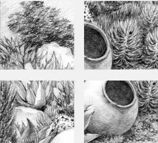 素描場景實操教程！花園一角怎么畫？重慶畫室學子看過來！圖十六