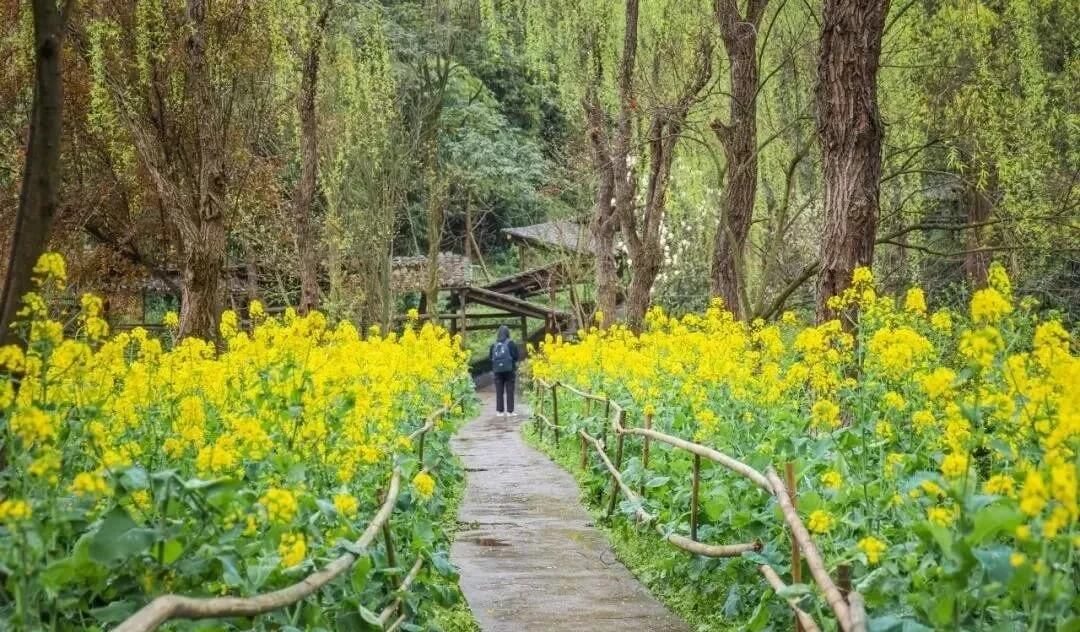 重慶畫室培訓(xùn)助你考上川美！體驗川美校園環(huán)境，提前愛上她！