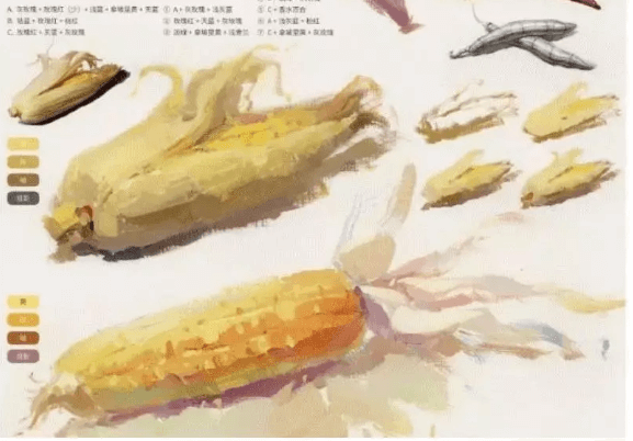 色彩靜物中的蔬菜類怎么畫(huà),看重慶美術(shù)培訓(xùn)學(xué)校老師來(lái)教你！圖二十三