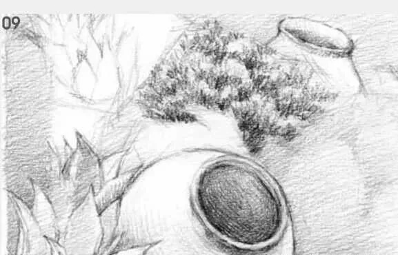 素描場景實操教程！花園一角怎么畫？重慶畫室學子看過來！圖十