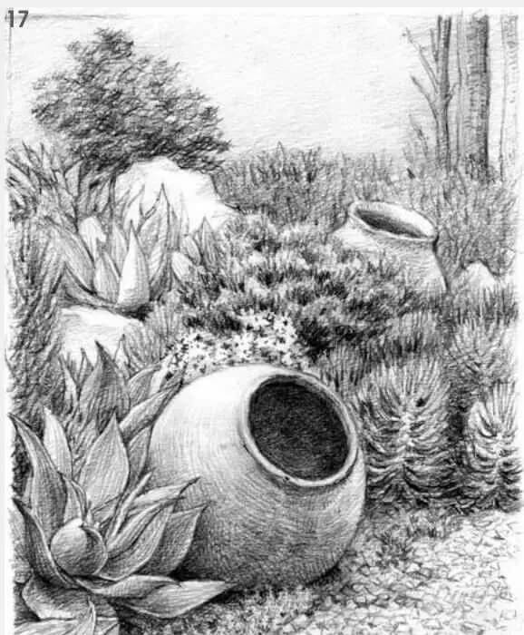 素描場景實操教程！花園一角怎么畫？重慶畫室學子看過來！圖十八