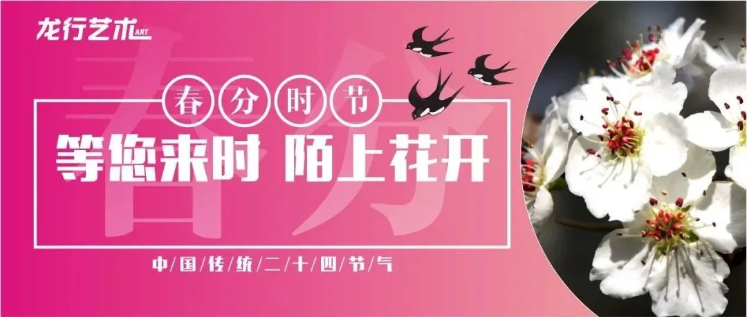 春分如約而至，愿大家都能考上心儀的美院!