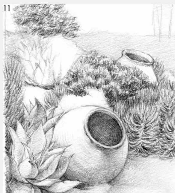 素描場景實操教程！花園一角怎么畫？重慶畫室學子看過來！圖十二