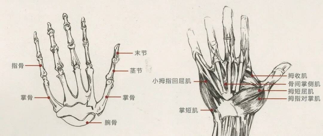 重慶美術(shù)培訓(xùn)畫室：畫人難畫手，畫好手速寫事半功倍！