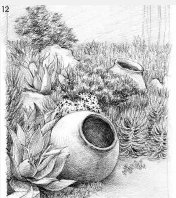 素描場(chǎng)景實(shí)操教程！花園一角怎么畫？重慶畫室學(xué)子看過(guò)來(lái)！