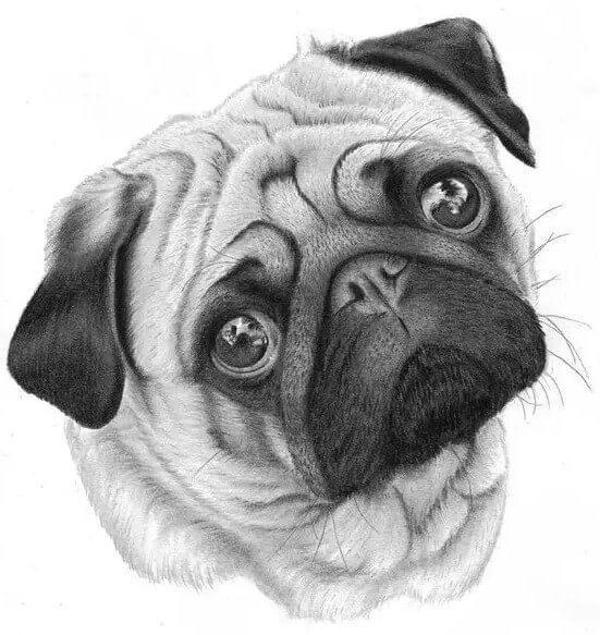 畫素描如何快速提高分數？這十大事實重慶美術培訓畫室里的同學一定要知道！