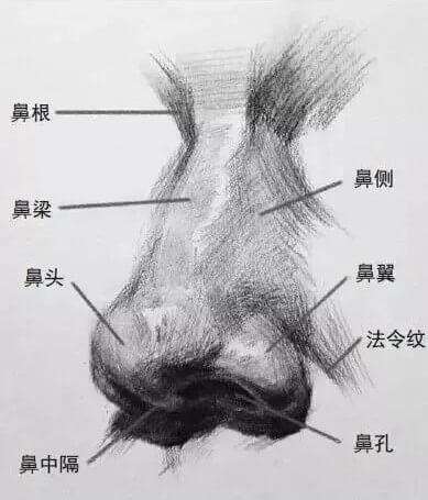 畫好五官，整個頭像就亮了！重慶美術(shù)培訓畫室?guī)湍懵?lián)考素描提高10分！