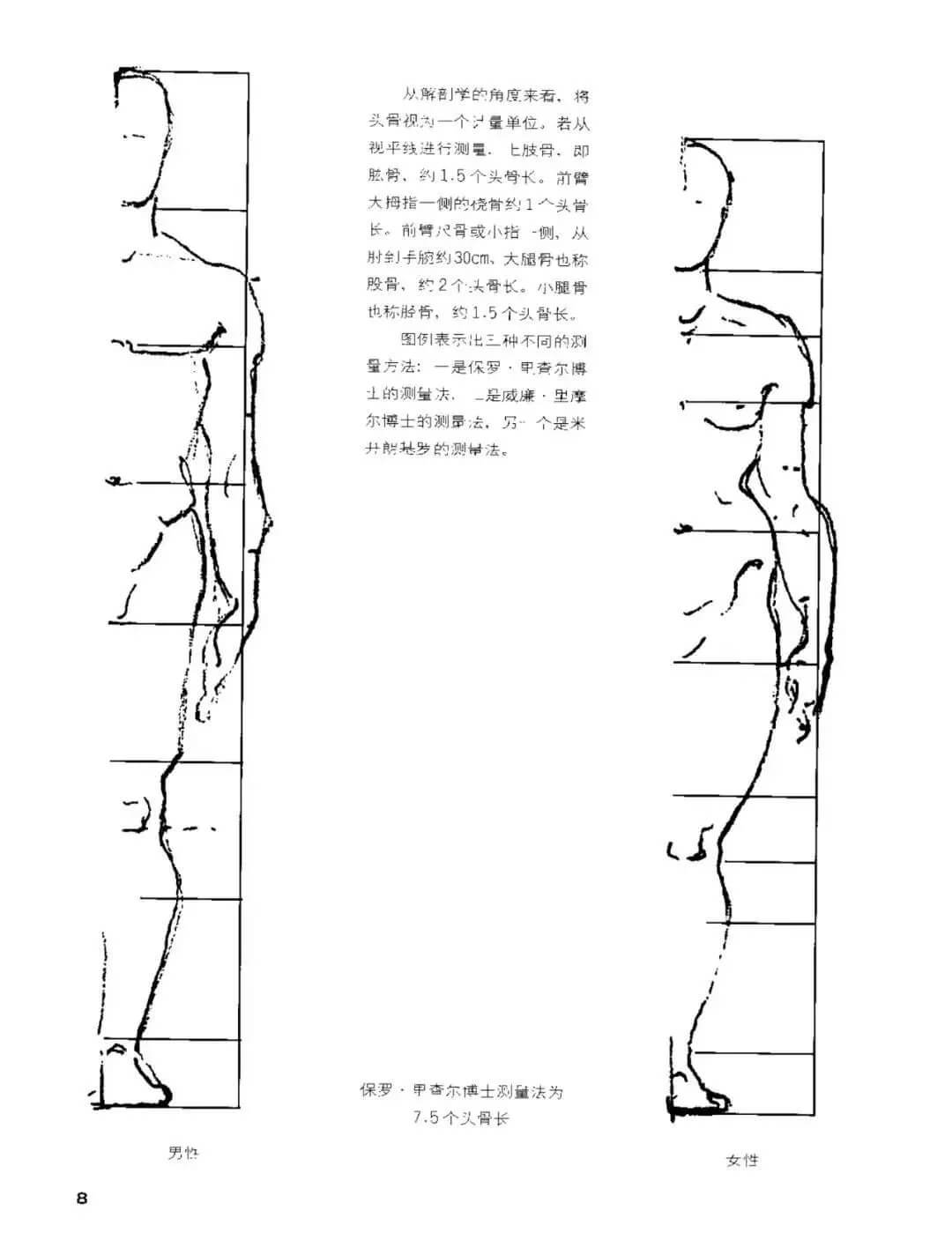 干貨分享：速寫人物基礎(chǔ)知識(shí)詳解及要點(diǎn)剖析！4