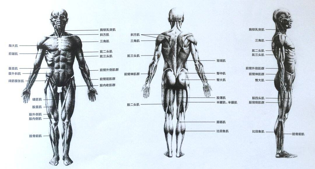 重慶美術(shù)集訓(xùn),重慶十大畫室05
