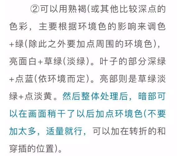 色彩靜物中的蔬菜類怎么畫(huà),看重慶美術(shù)培訓(xùn)學(xué)校老師來(lái)教你！圖五